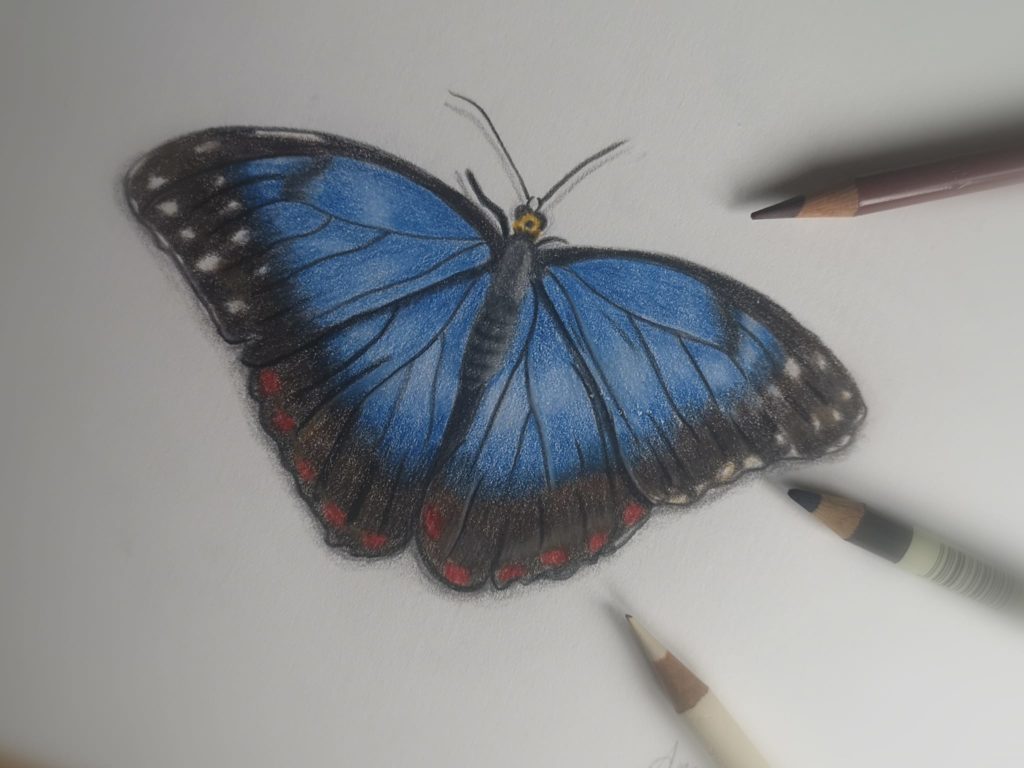 Butterly Beautiful